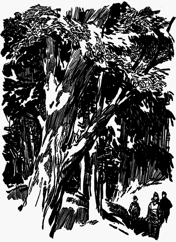 Журавли и цапли . Повести и рассказы - i_008.png