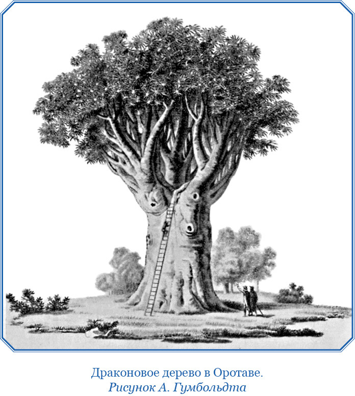 Второе открытие Америки - i_032.jpg