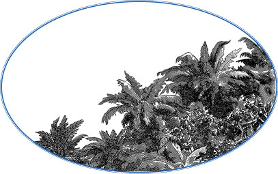 Второе открытие Америки - i_033.jpg