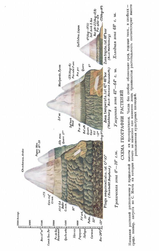 География растений - _30.jpg