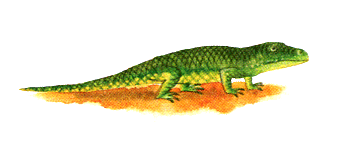 Черт-те что, или Праздник первого зуба - i_073.png