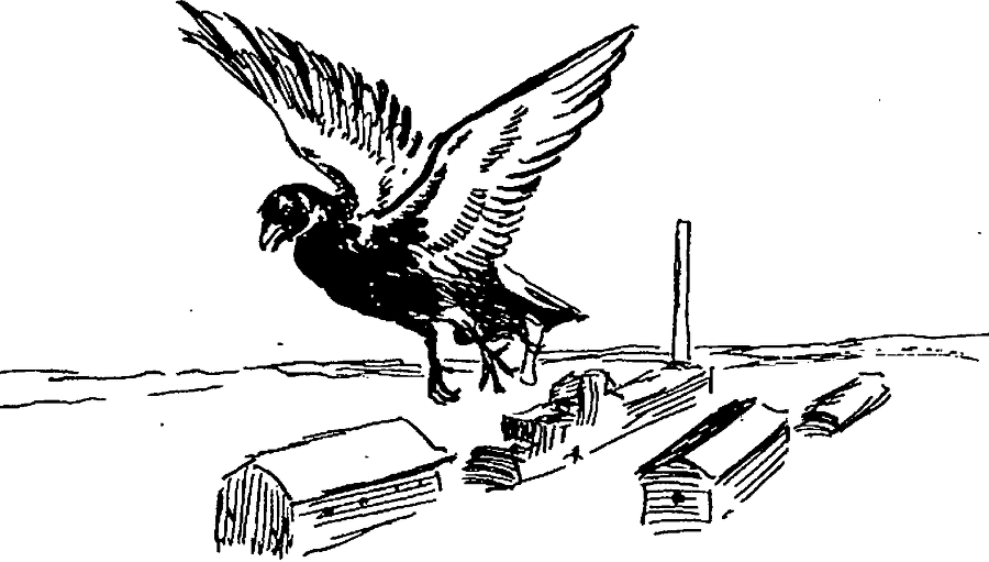 Я познаю мир. Разведка и шпионаж - image10.png