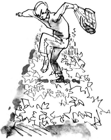 Бурное лето Пашки Рукавишникова - i_022.jpg