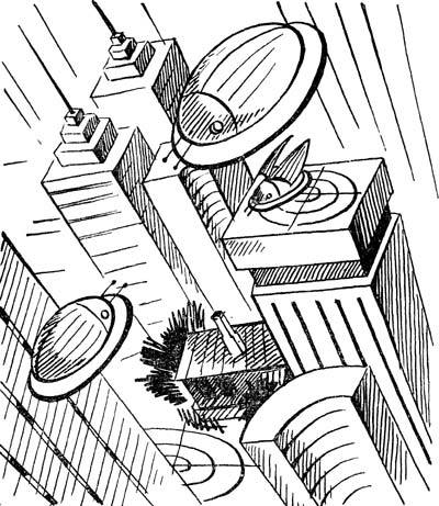 Спасение жука - sled0087.jpg