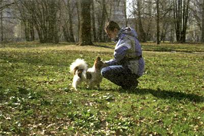 Клик-ням. Кликер-дрессировка для начинающих - i_013.jpg