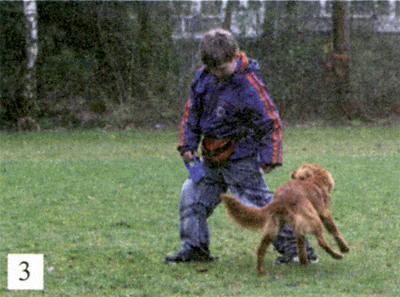 Клик-ням. Кликер-дрессировка для начинающих - i_016.jpg