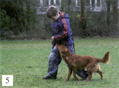 Клик-ням. Кликер-дрессировка для начинающих - i_018.jpg