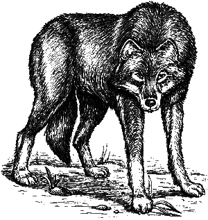 Немецкая овчарка - i_002.png