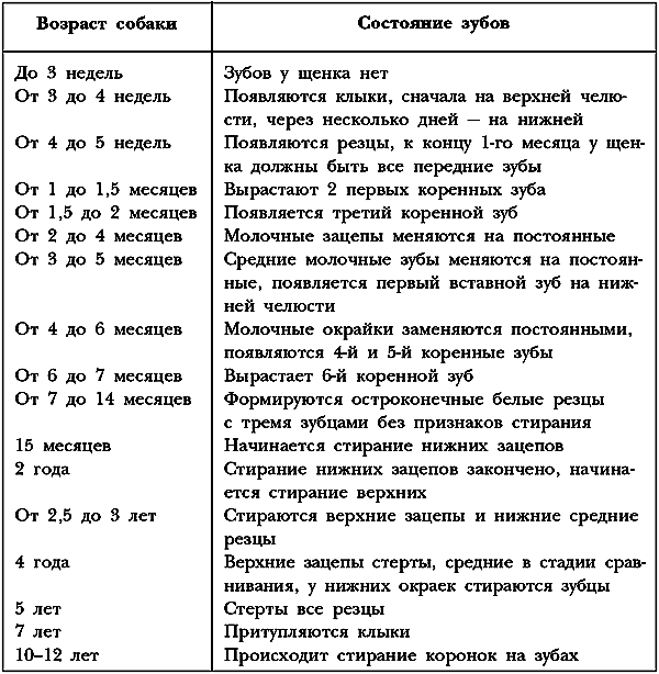 Немецкая овчарка - i_027.png