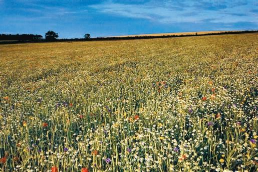 Все о Великобритании - _08.jpg