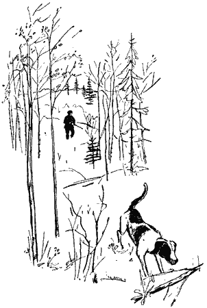 Серебряные зори - i_001.png