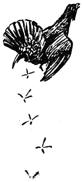 Серебряные зори - i_005.png