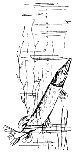 Серебряные зори - i_007.png