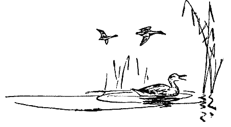 Серебряные зори - i_008.png