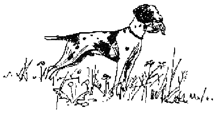 Серебряные зори - i_021.png