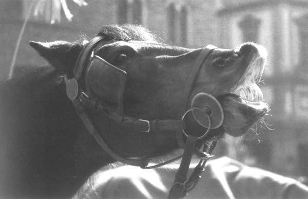 Секреты тантра-йоги - i_035.jpg