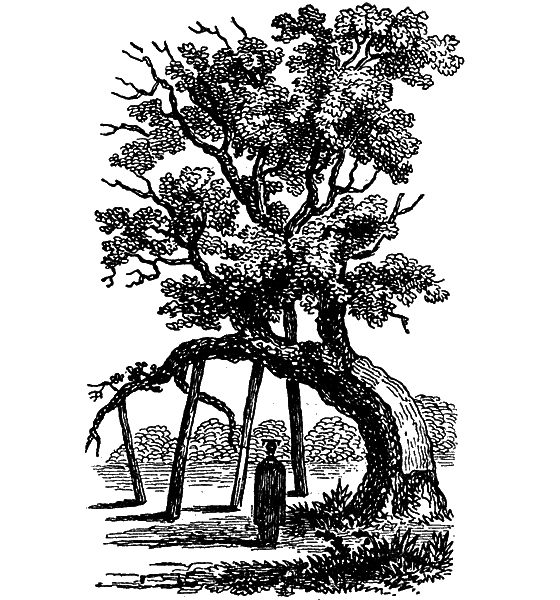 Великий натуралист Чарлз Дарвин - i_043.png