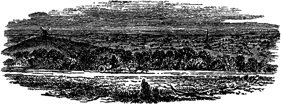 Великий натуралист Чарлз Дарвин - i_044.png