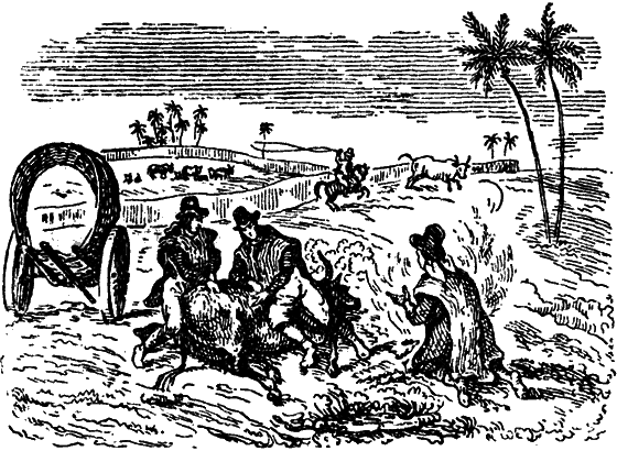 Великий натуралист Чарлз Дарвин - i_048.png