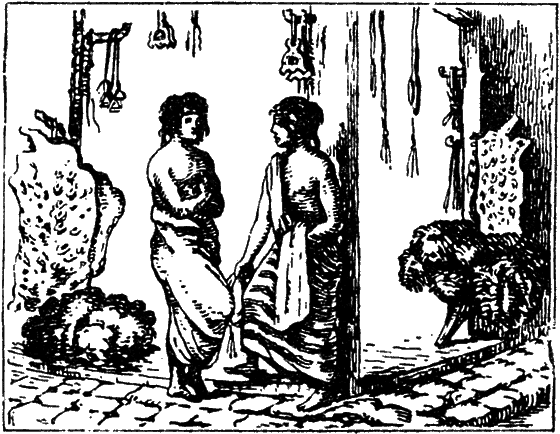 Великий натуралист Чарлз Дарвин - i_054.png