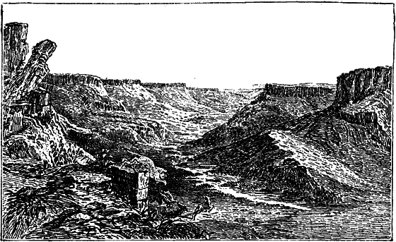 Великий натуралист Чарлз Дарвин - i_060.png