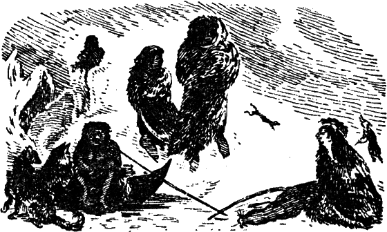 Великий натуралист Чарлз Дарвин - i_063.png