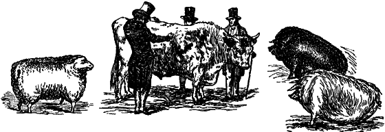 Великий натуралист Чарлз Дарвин - i_091.png