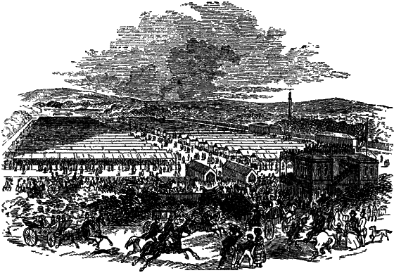 Великий натуралист Чарлз Дарвин - i_092.png