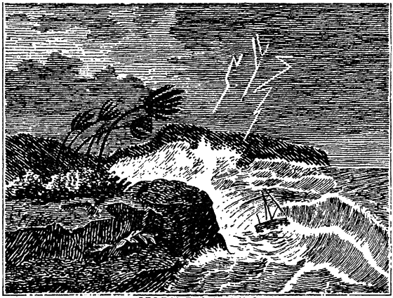 Великий натуралист Чарлз Дарвин - i_096.png