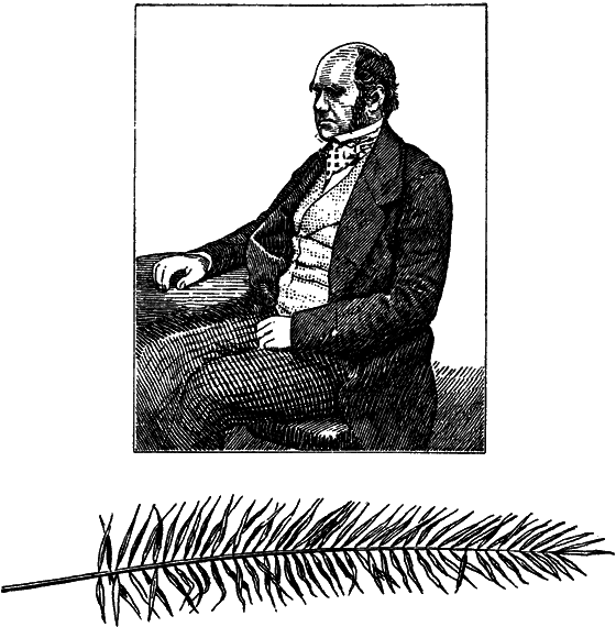 Великий натуралист Чарлз Дарвин - i_104.png