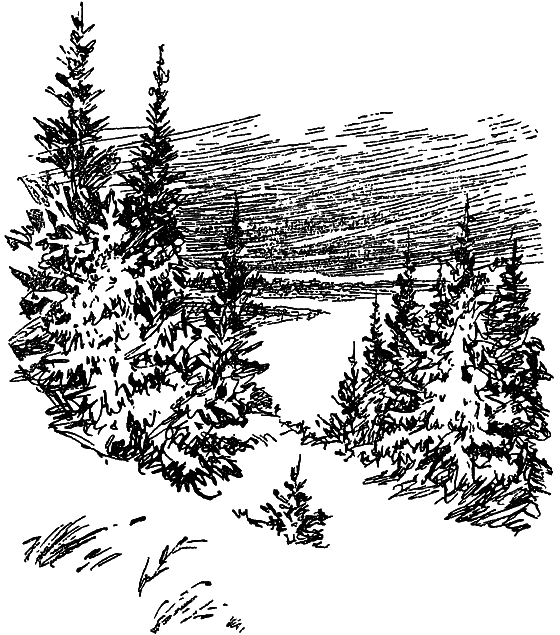 Из жизни растений - i_021.png