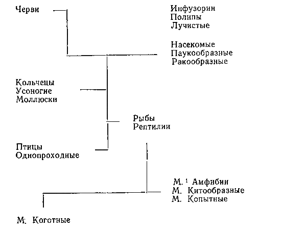 Подвиг жизни шевалье де Ламарка - i_035.png