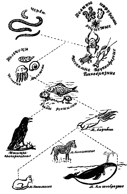 Подвиг жизни шевалье де Ламарка - i_036.png