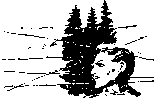 Майор Ватрен - i_006.png