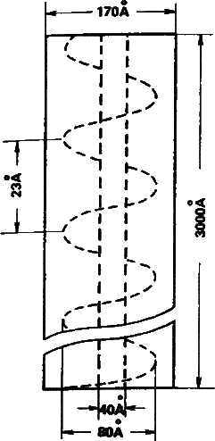 Аксиомы биологии - i_09.png