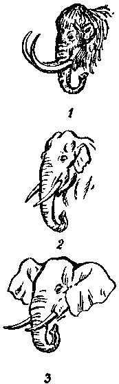 Дарвинизм в XX веке - i_004.png