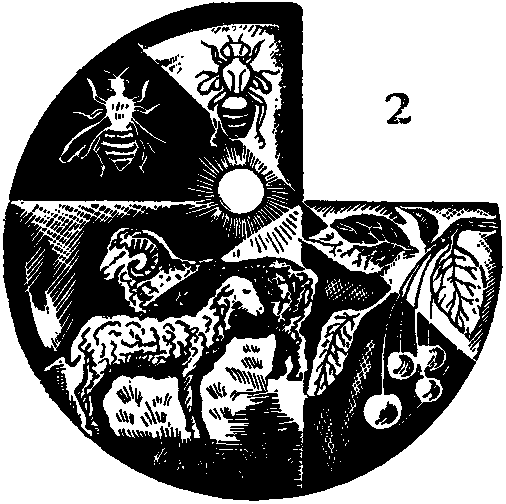 Дарвинизм в XX веке - i_005.png