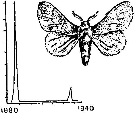 Дарвинизм в XX веке - i_014.png