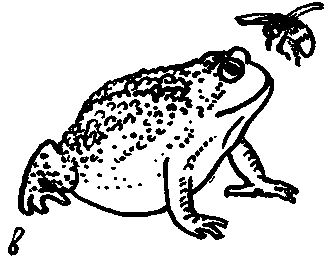 Дарвинизм в XX веке - i_035.png