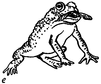 Дарвинизм в XX веке - i_038.png