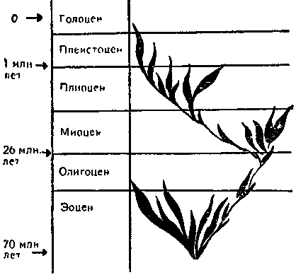 Дарвинизм в XX веке - i_045.png