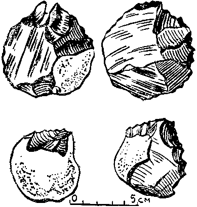 Дарвинизм в XX веке - i_048.png