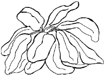 Аквариум. Практические советы - _04.png