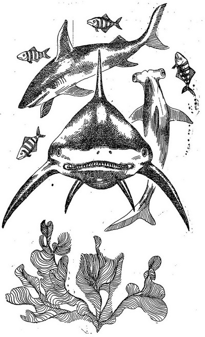 Проделки Лесовика - i_031.jpg