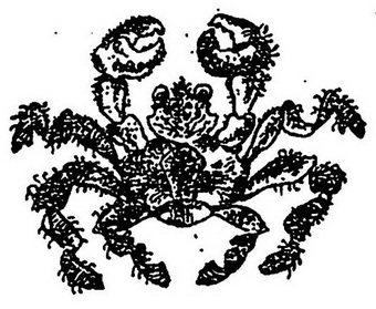 Проделки Лесовика - i_036.jpg