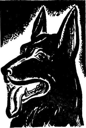 Будни отважных - img_49.jpg