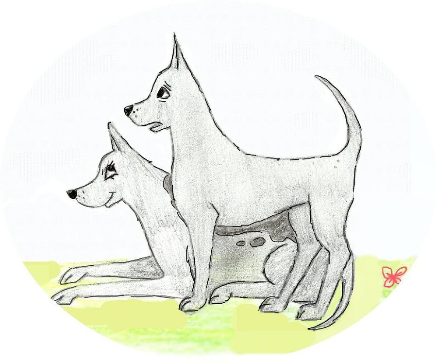 Джули. Её мечты и приключения - images_5386f6b737eca2f2728b4568_jpg.jpeg