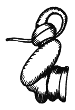 В мире запахов и звуков - i_019.png