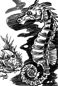 Одіссея капітана Блада (вид. 2013) - i_026.png