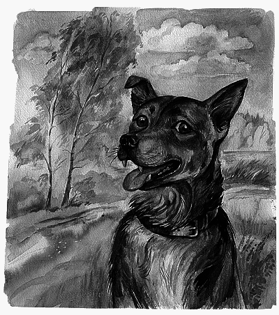 Железный Дым - titul.png